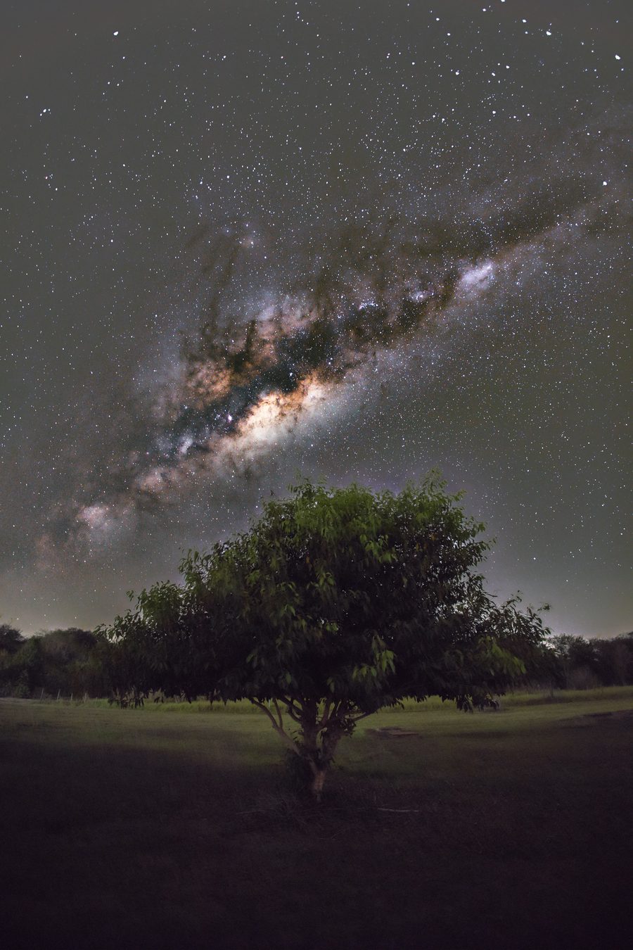 Paysage du parc d'État d'Aguapeí, également situé à São João do Pau D'Alho, São Paulo