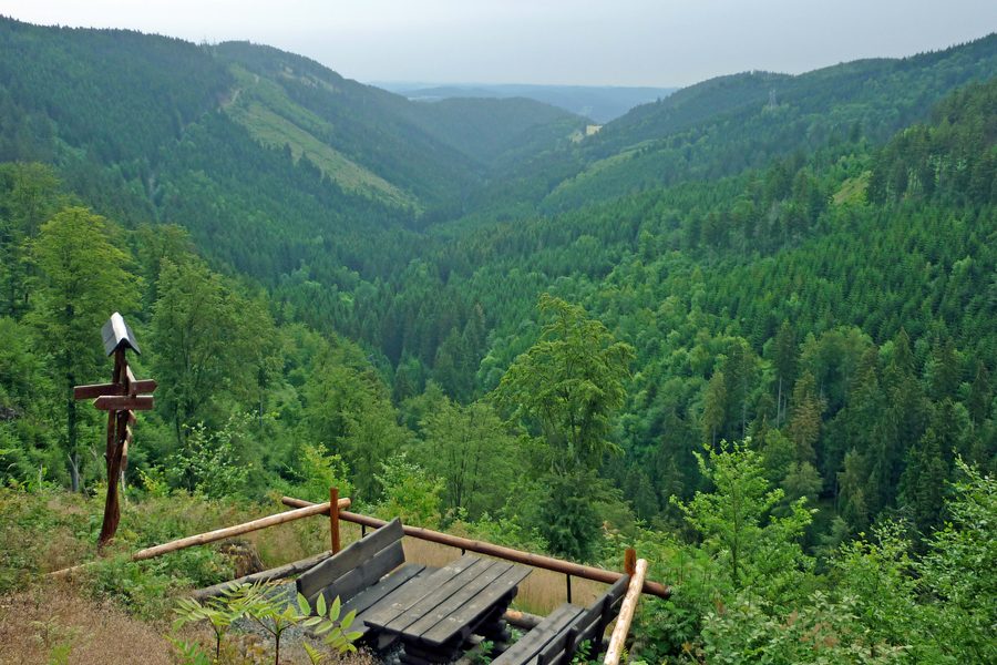 Vue depuis le Teufelskanzel près de Piesau sur la vallée de l’Arnsbach dans le parc naturel du massif schisteux de Thuringe/Haut-Saale