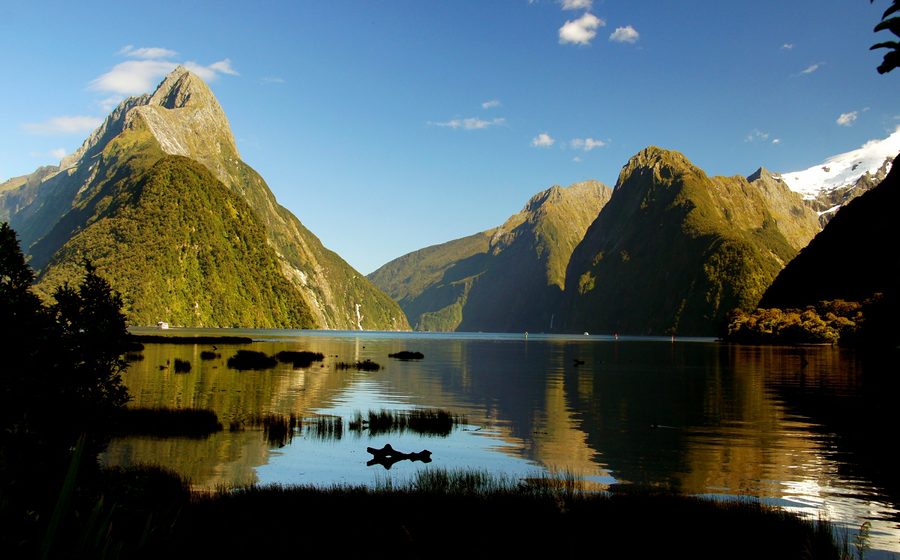 Milford Sound avec une eau de fjord sombre et des versants montagneux boisés dans le Fiordland