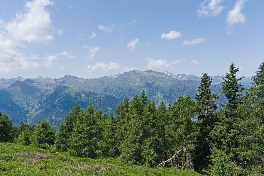 Vue sur les Alpes de l'Ötztal et le groupe de Texel depuis un sentier près de Schenna