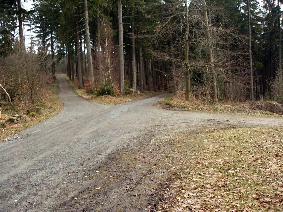 Sentier forestier près de Wilhelmsfeld avec vue sur la tour Teltschik