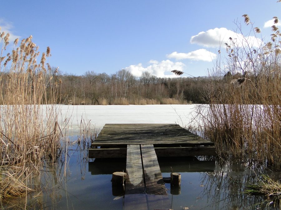 Grand étang à Selmsdorf dans le district du Nordwestmecklenburg