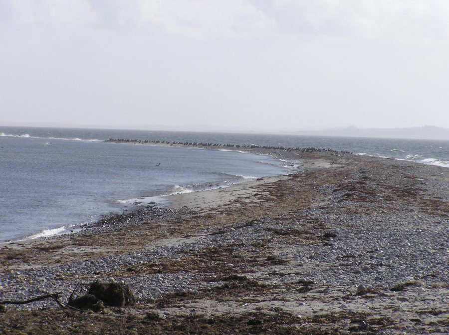 Extrémité sud de Sejerø avec paysage côtier