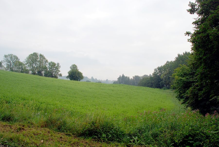 Landschaft bei Tobis in Preding in der Weststeiermark