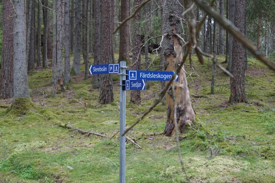 Réserve naturelle de Slereboåns dalgång à Risveden, commune d’Ale