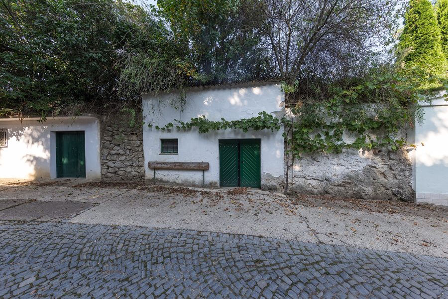 Ruelle de caves avec pressoirs et caves à vin sur le Radyweg à Poysdorf