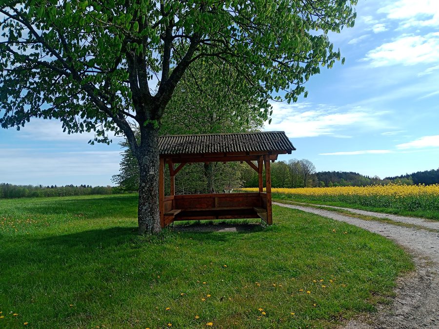 Abri dans le paysage près de Mudau