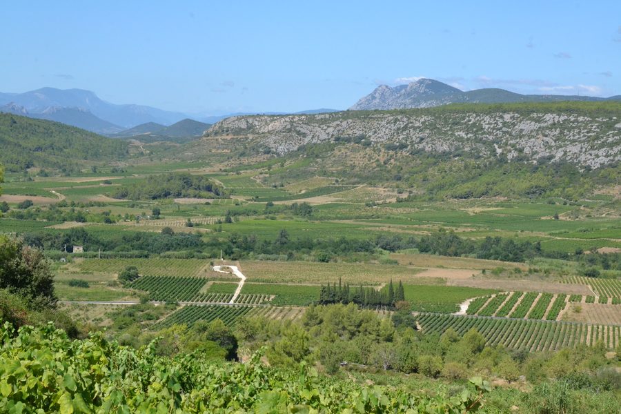Paysage de la vallée du Verdouble près de Tautavel