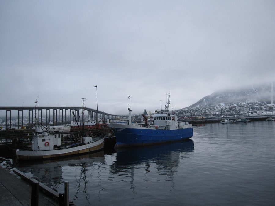 Port de Tromsø avec des bateaux de pêche et le Tromsøbrua en arrière-plan