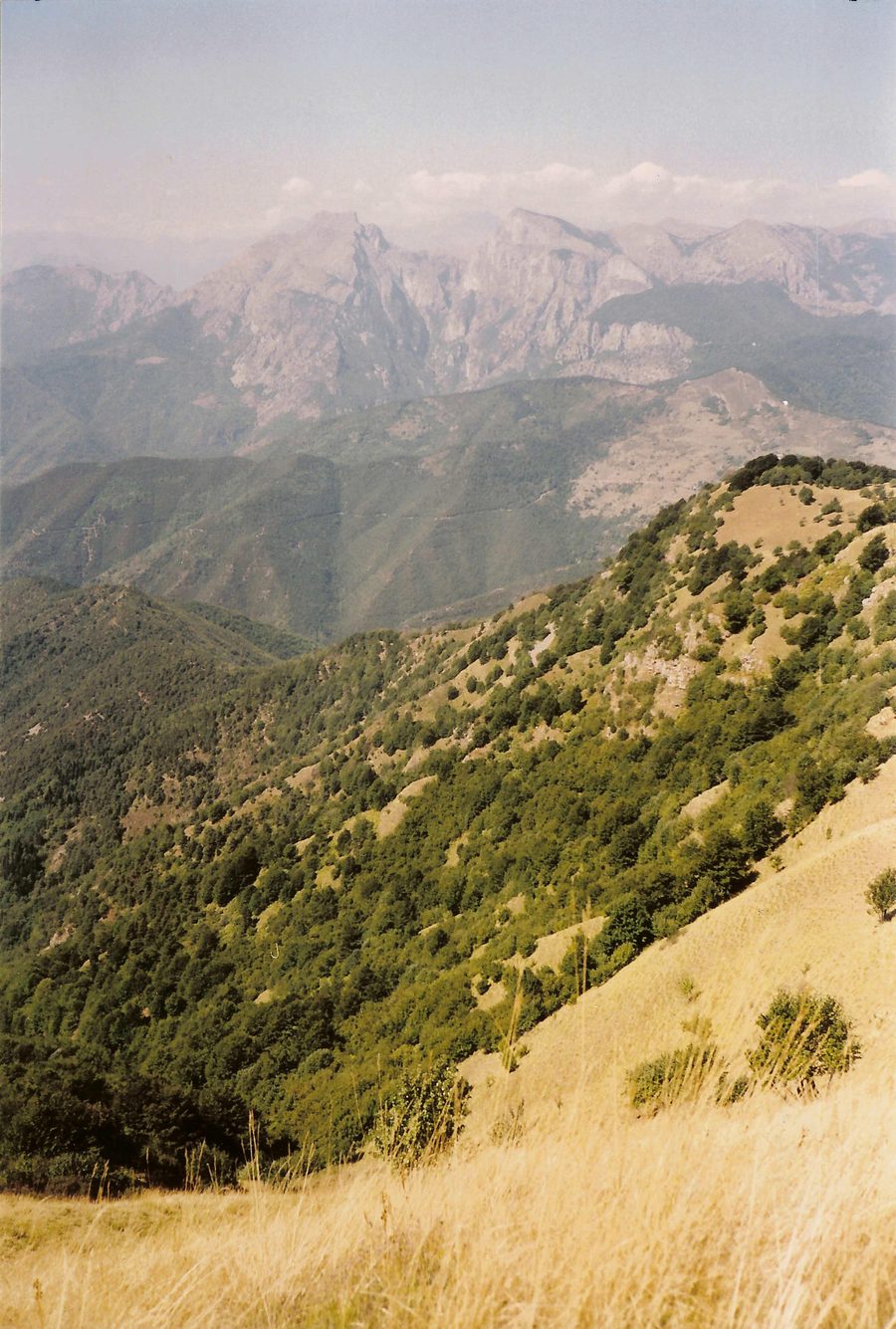 Vue depuis le Monte Ceppo sur le Monte Toraggio et le Monte Pietravecchia