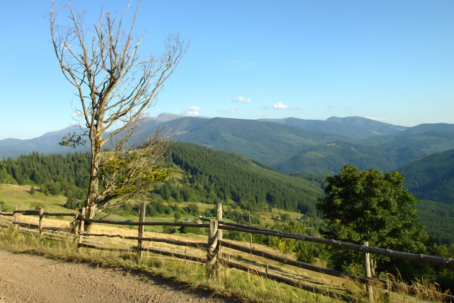 Route vers Jassinja dans l’oblast de Transcarpatie devant les Carpates