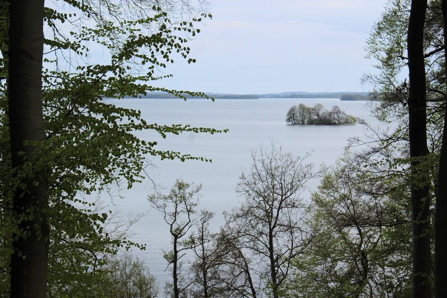 Vue depuis le parc du château de Wiligrad sur le lac de Schwerin