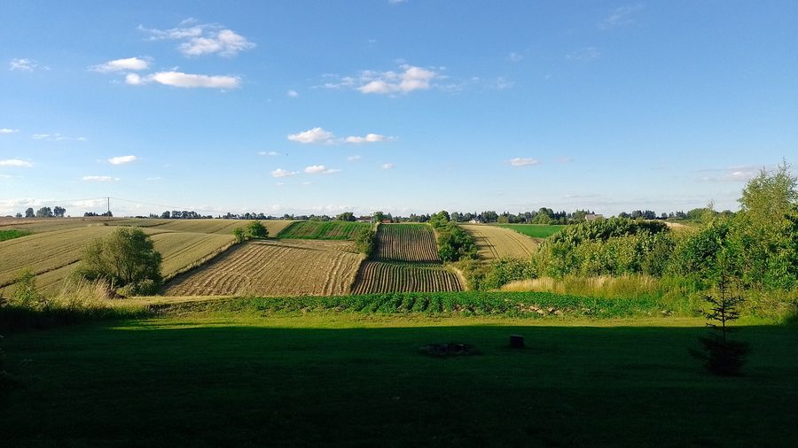 Paysage autour du village de Podlesice Drugie en Pologne