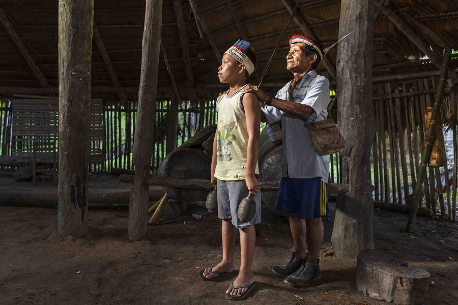 Végétation dense dans la région amazonienne du Pérou