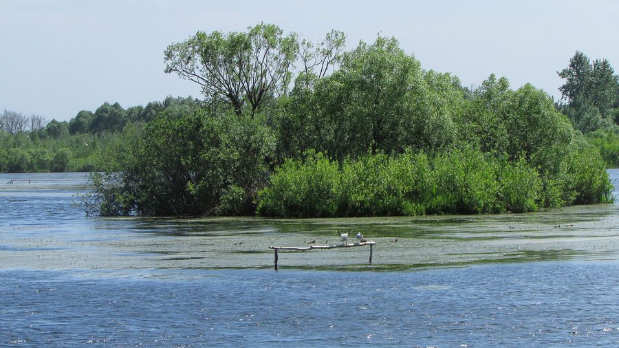 Lac Kiovo avec une île au milieu