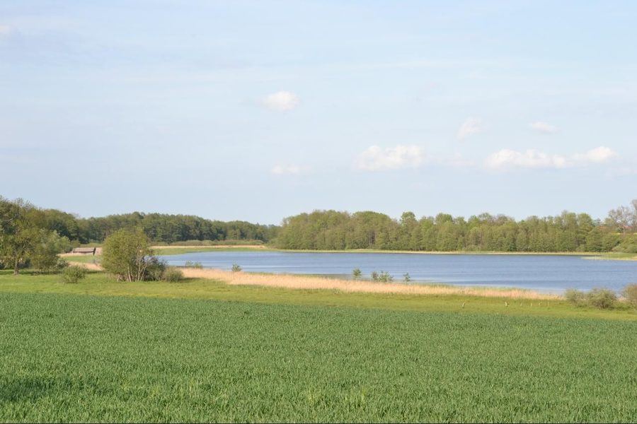 Rittermannshagener See dans le Mecklembourgische Schweiz