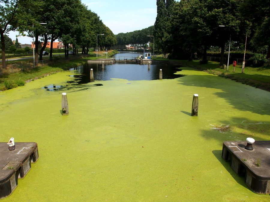 Écluse du canal Hulsen dans la Zuid-Willemsvaart à Nederweert