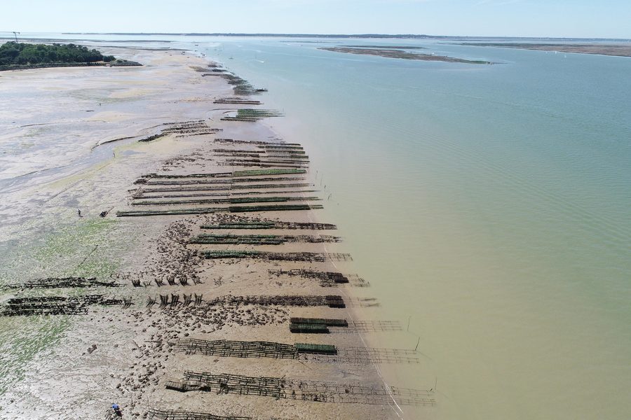 Parcs à huîtres à l’embouchure de la Seudre en Charente-Maritime