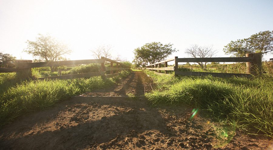 Ferme agricole dans les Adelaide Hills en Australie-Méridionale