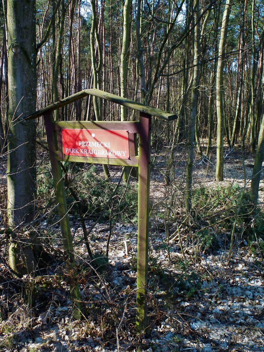 Paysage du parc paysager de Przemęt près de Zbarzewo