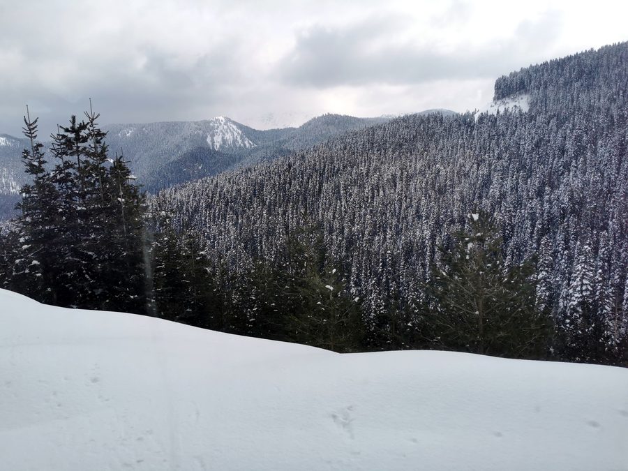 Paysage dans le parc national du mont Ilgaz près de Çankırı