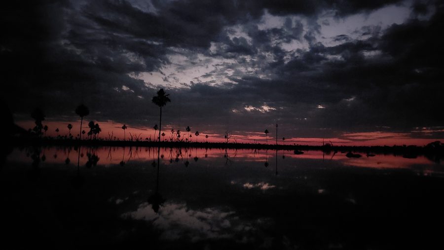 Bañado La Estrella à Formosa