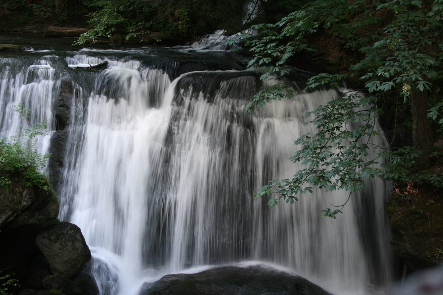 Whatcom Falls dans le parc Whatcom Falls, Bellingham, Washington