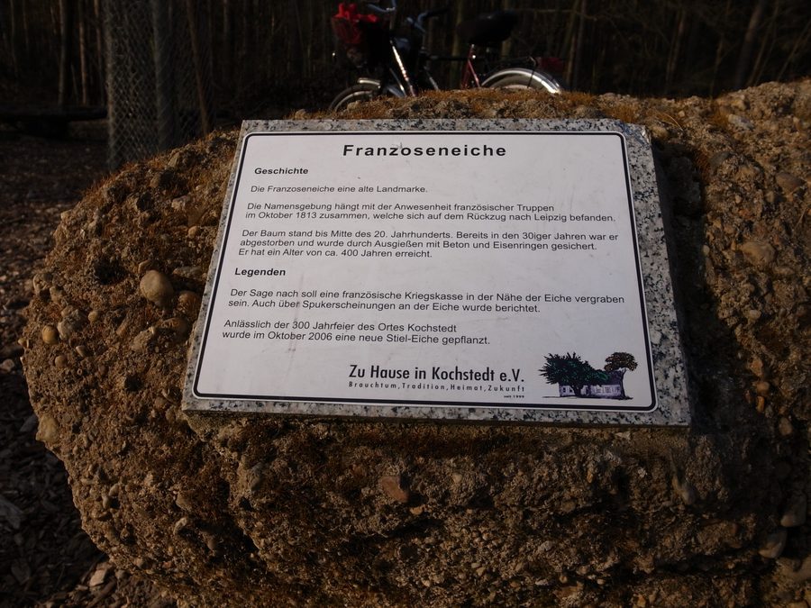 Panneau d'information à la Franzoseneiche à Dessau-Kochstedt