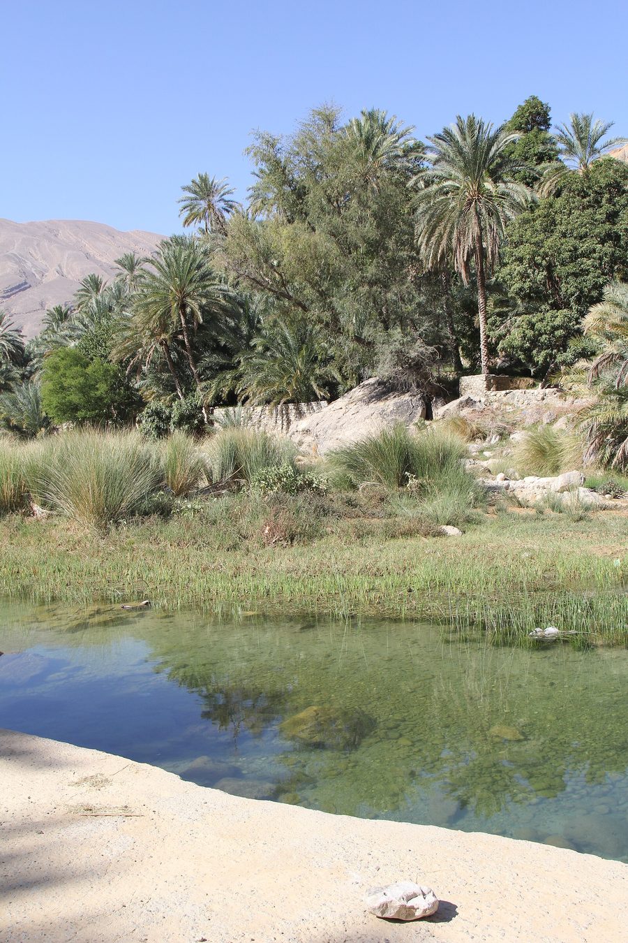 Paysage à Oman avec un environnement montagneux et désertique aride