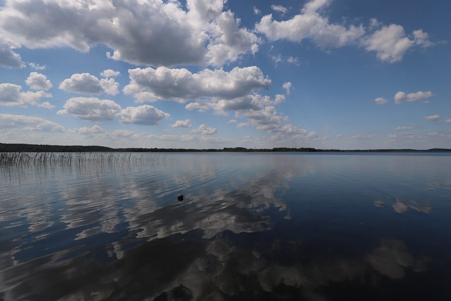 Vue sur le lac Parsteiner dans le Brandebourg