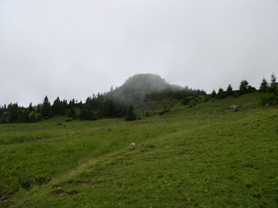 Paysage montagneux de la chaîne de Tchornogora dans les Carpates ukrainiennes