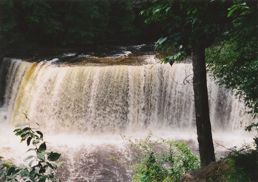Les chutes Tahquamenon dans une zone boisée du comté de Luce, Michigan