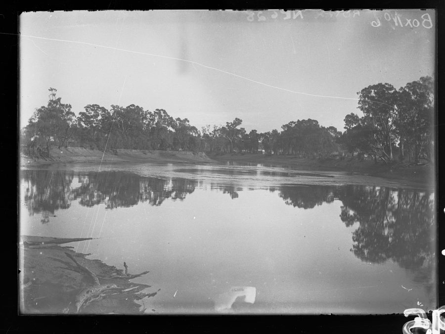 Le fleuve Murray avec une rive sableuse et des arbres en Australie-Méridionale.