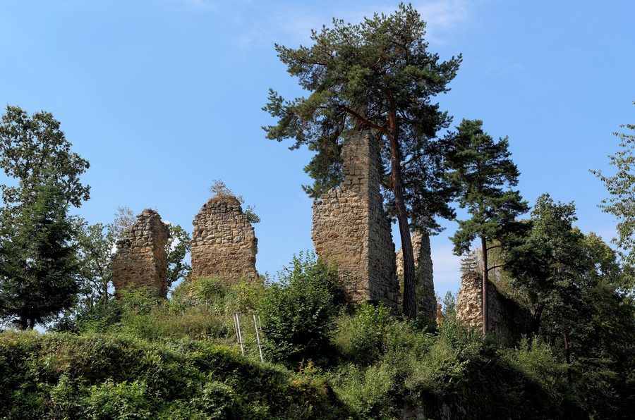 Ruines du château supérieur de Rożnów