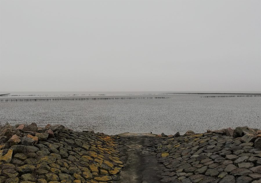 Mer des Wadden sur la côte de la mer du Nord près de Westerdeichstrich dans le district de Dithmarschen