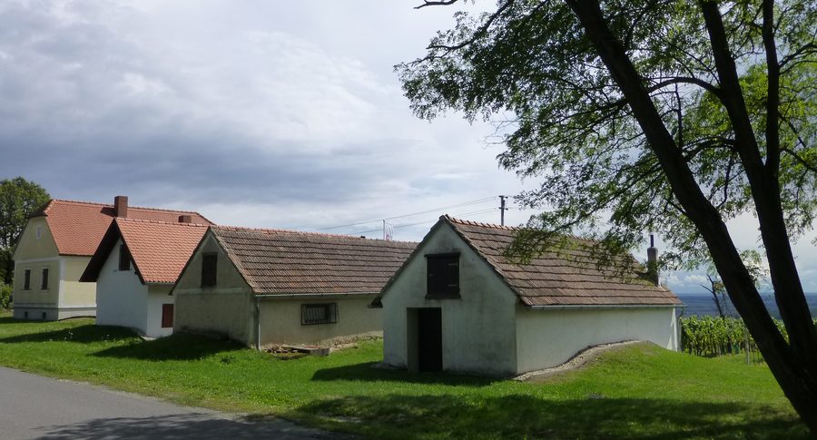 Paysage de vignobles dans le sud du Burgenland