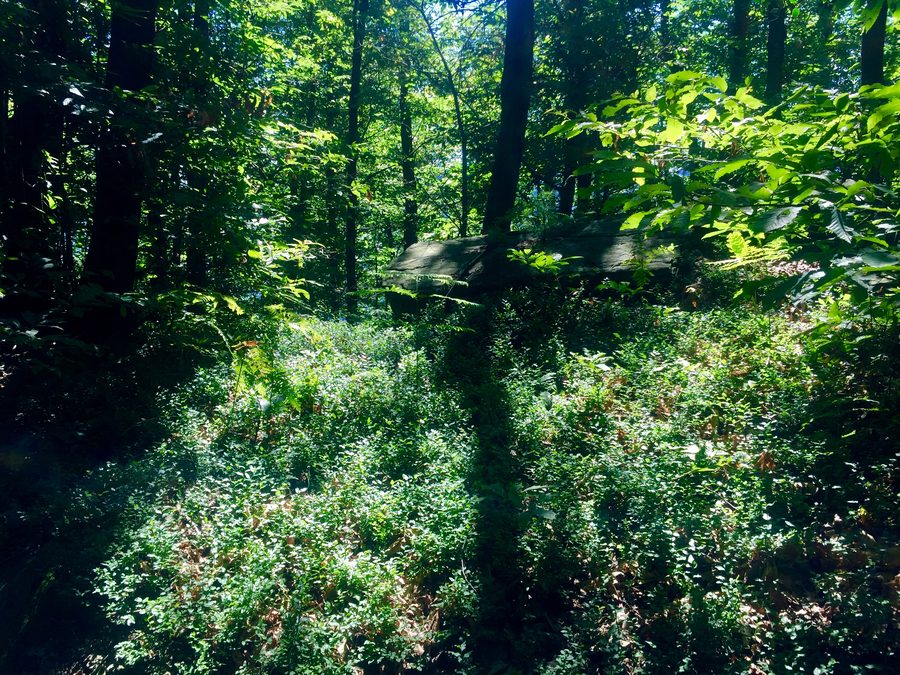 Parc protégé du Sacro Monte della Santissima Trinità di Ghiffa
