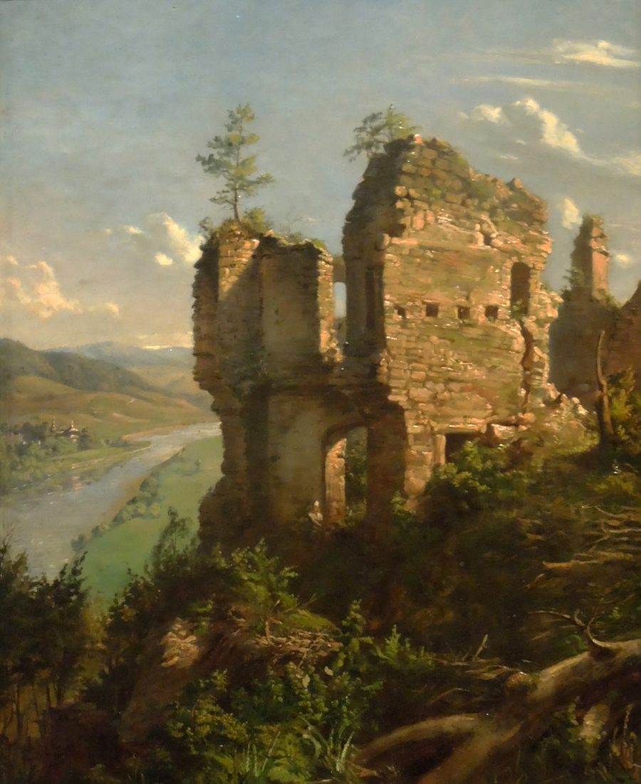 Ruines du château de Sobień