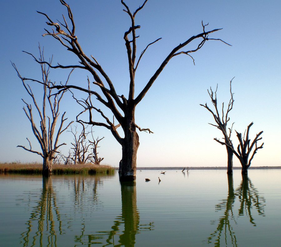 Lake Bonney à Barmera, en Australie-Méridionale