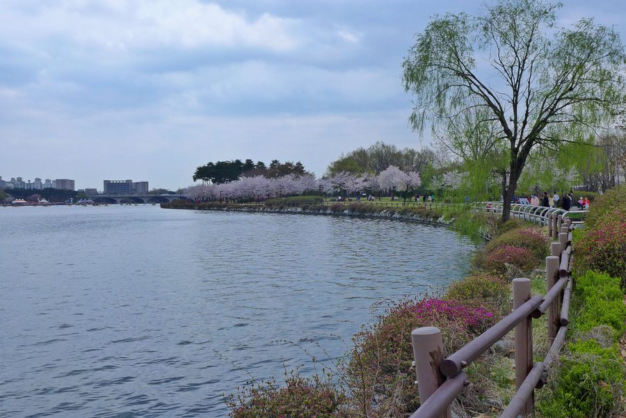 Parc verdoyant à Gyeonggi-Do