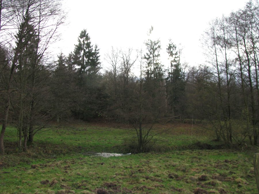 Vallée de ruisseau de l'Ingelheim-Bach au sud-est de Staufenberg-Nienhagen dans la forêt de Kaufunger Wald
