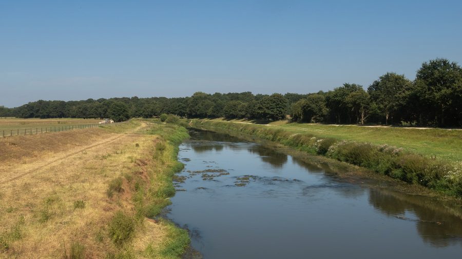 La Hase entre Haselünne et Dohren dans un paysage fluvial verdoyant