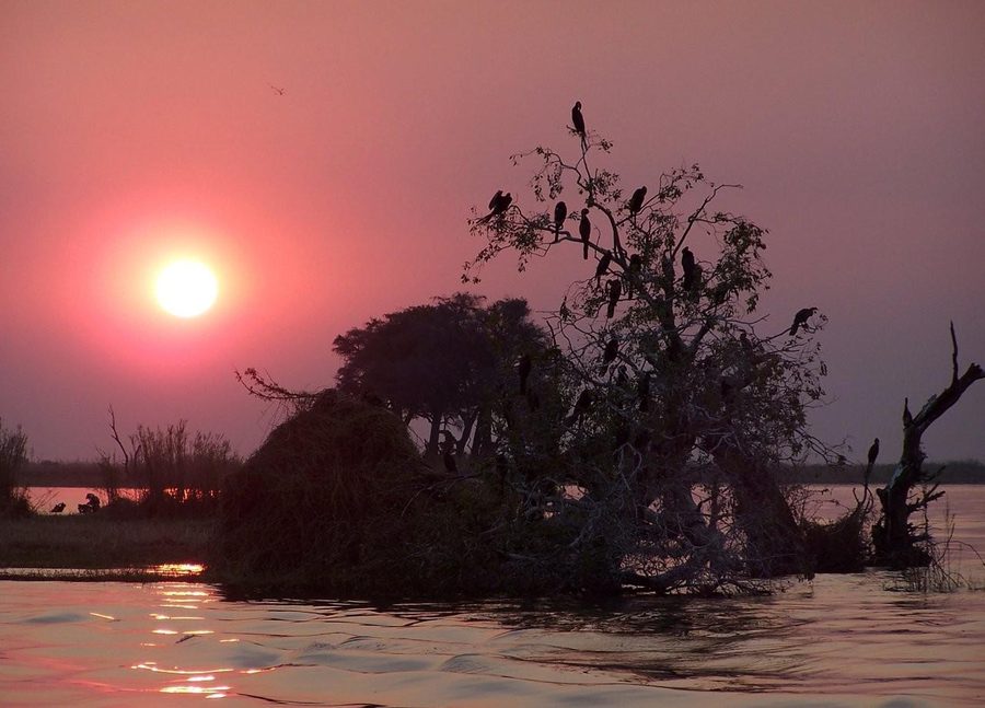 Paysage fluvial sur la rivière Chobe en Namibie