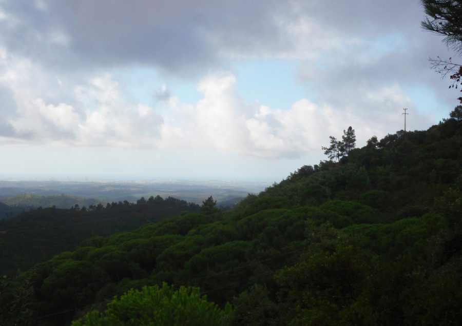 Vallée boisée de Caldas de Monchique vue depuis un point de vue voisin