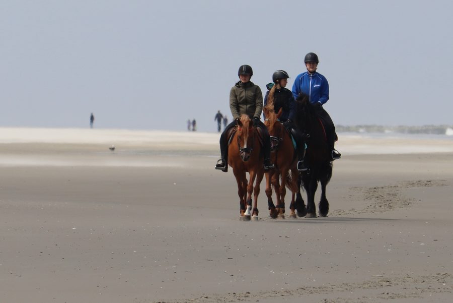 Cavalier sur la vaste plage de Schiermonnikoog devant le paysage de dunes