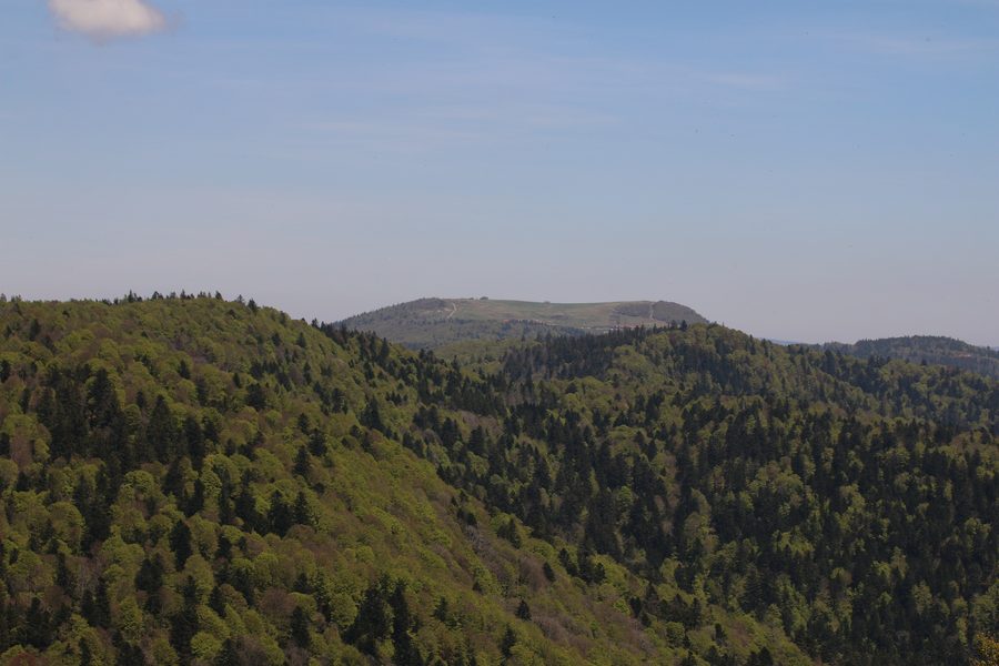 Vue sur le Ballon d’Alsace depuis la Planche des Belles Filles à Lepuix