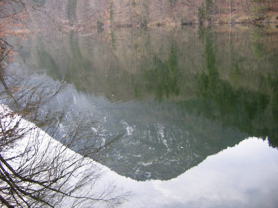 Zone de rive du lac Stimmersee à Langkampfen, Tyrol