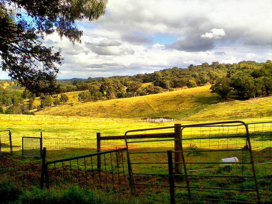Pâturage ouvert dans une ancienne ferme à Cottle's Bridge près de Melbourne