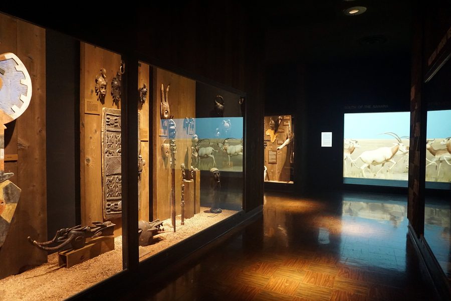 Photo du Milwaukee Public Museum en lien avec l’Afrique de l’Ouest et l’Afrique australe.