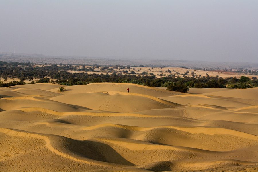 Désert du Thar au Rajasthan